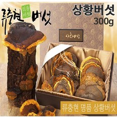 국산 상황 버섯 자연산 상황버섯 물 뽕나무 상황버섯차 목질진흙버섯 상황버섯선물 류충현 약용버섯 무농약 친환경인증, 1박스, 300g