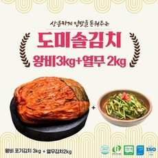 eTV 도미솔 김치 2종 세트5kg (왕비포기3kg열무2kg), 1세트
