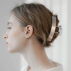 장폴클라리쎄리본핀