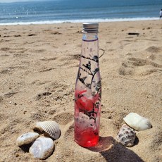 와인만들기체험