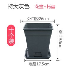 마이현 테이블화분 청 산분제근 스퀘어 불해근 적합 로즈 비닐 플라스틱 월계철선연가람분, 10 개입 거무스름 빅사이즈 260