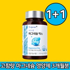 프리미엄 고함량 마그네슘 눈떨림 보충제 근육통 영양제 약 3개월분, 90정, 2개