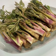 콩여사네 땅두릅 자연산 제철나물, 1개, 1kg