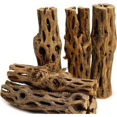 NA프리미엄 천연 전라목재 | 수족관 장식용 56인치 롱 소라게 새우, 5x 5-6 Inch Cholla, 1개
