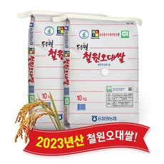 [당일도정] [동철원농협 직접운영] 2023년산 두루웰 철원오대, 2개