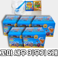 꼬마새우기르기