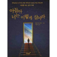 아이로너포터블