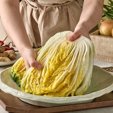 청송주왕산김치 고랭지 절임배추 20kg (필수 추가사항에 희망도착일을 적어주세요)