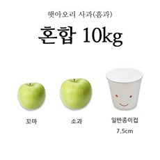 //상품명