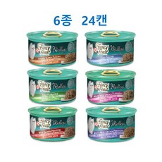 팬시피스트 엘레강트 메들리 6종 콤보 85g x4 24개, 단품, 단품