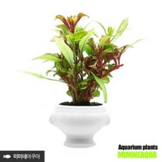 라이언접이식포트