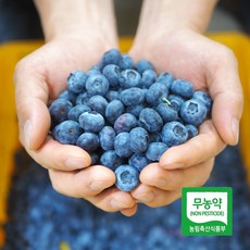 직거래농민장터 2022년 무농약 친환경 블루베리, 블루베리 생과 특 1kg