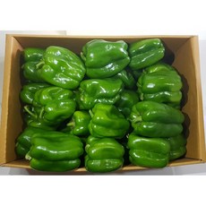 영프레시 청피망 특품 2kg / 5kg 가락시장 당일경매 (가격변동), 청피망 2kg, 1개