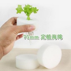 수경재배기 베란다온실 럭키 바이어스 무토재배설비 수배채소 고근기 고정식 바구니 부품, 01 75mm 스펀지 세팅 1개