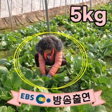 당일수확 여수 돌산갓 돌산생갓 5kg 10kg 생산자 직송 전라도 갓김치 생갓 청갓 갓장아찌