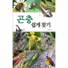 곤충책쉽게찾기