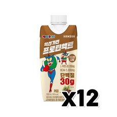 짱구 액션가면 프로틴액트 커피 단백질음료 330ml x 12개, 0.33l