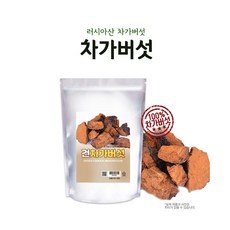 러시아산 차가버섯 1kg (000988), 1개