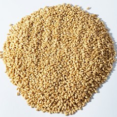 하선사료 하선사료 멸균 통밀 / 반려조 멸균식품 개별알곡 새모이 간식, 멸균 통밀 390g