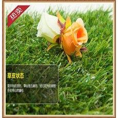 족구장인조잔디