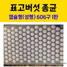 추천7표고버섯종균