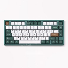 VGN VXE75 기계식키보드 75배열, 그린, 청해호축