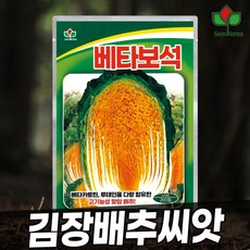 [씨드코리아]항암배추씨앗 김장배추씨앗 종자 잎이 얇고 엽수가 많은 고기능성함암배추 베타보석 200립