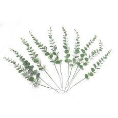조화 유칼립투스 연두색 10P 꽃 장식 인테리어 꽃병 인조 유칼립튜스, GD038.유칼립투스 연두색, 10개 GD038.유칼립투스 연두색, 10개