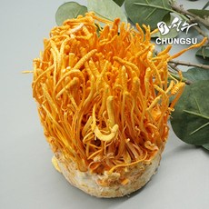 97a0a0744e244a58e5afaf309d5d978563e5e9133f35f247ca09d8c3ce44.jpg