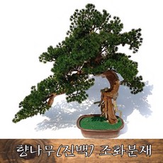 6dd64f50e34a82662f5ce2406189cd482274f0c8add36d1f4ee4a196ce1b.jpg