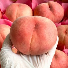 딱딱복숭아