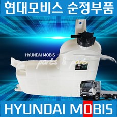 파비스 부동액 보조물통 서지탱크 현대모비스 순정 253616D000, 1개