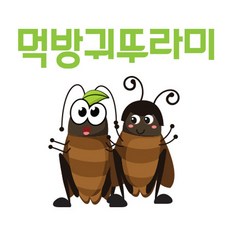 [엘에이치씨] 먹방귀뚜라미 파충류먹이, 100마리