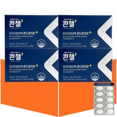 콴첼 뮤코다당단백 콘드로이친 철감상어 소연골 콘드로이친1200 60정X4개, 60개, 4개