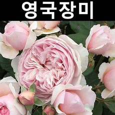 //상품명