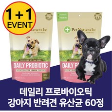 웰케어고양이