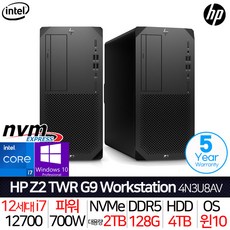 HP Z2 TWR G9 4N3U8AV_i7_UP1 [5년 무상보증] 인텔 i7 윈도우 10 프로 사무용 기업용 캐드 포토샵 영상편집 고성능 워크스테이션 데스크탑 본체 컴퓨터 PC, 128GB, SSD 1TB+1TB + HDD 4TB, 윈도우10 프로