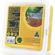 이것은축복받은땅젖과꿀이흐르는