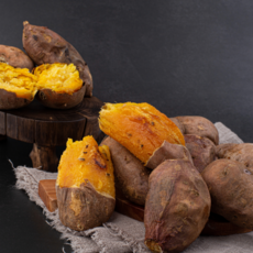 고구마순-추천-상품