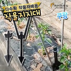 y고추지지대