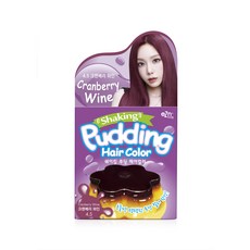 이지엔푸딩