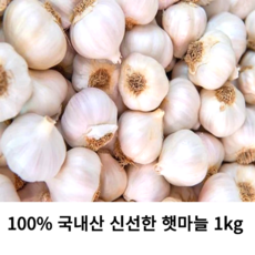 (국내산) 신선한 마늘 1kg 국산 햇마늘 저장 한접 통마늘 마늘 짱아지 밑반찬 알이 크고 속이 꽉찬 프리미엄 마늘