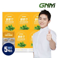 GNM자연의품격 GNM 프랑스산 옐로컷정제 레몬밤정 5박스(5개월분), 기타, 단일상품