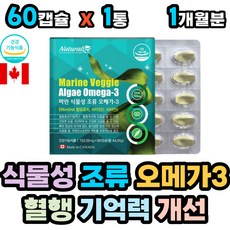 두뇌발달기억력