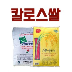 //상품명