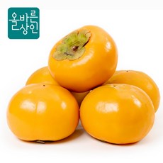 단감 진영단감 부유단감 2.5kg 중대과 진영단감 중대과 (10~13과) 상품 이미지