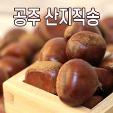  공주밤 옥광밤 대보밤 정안밤 햇밤 알밤, 공주밤 대, 1개, 2kg 