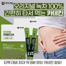 뉴트리디데이 다이어트 카테킨 올뉴 60정 4개 상품 이미지