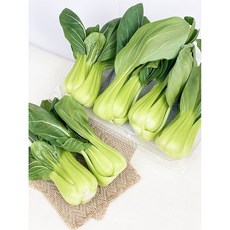 청경채 (약 280g내외) 새벽시장 신선한청경채 마라탕야채 샤브샤브전골, 1개, 280g