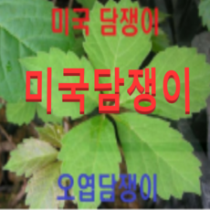 071229d340ca227cfb195f3ad34e3235e6f4ac3e3e9883dfab898f6ffa1d.png
